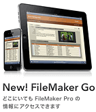 Filemaker Go